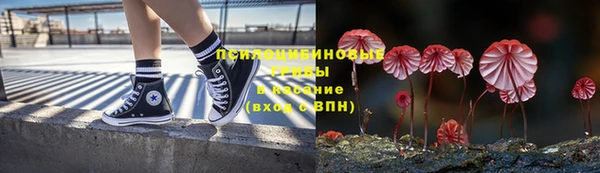 меф Нефтегорск