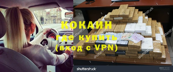 PSILOCYBIN Алзамай